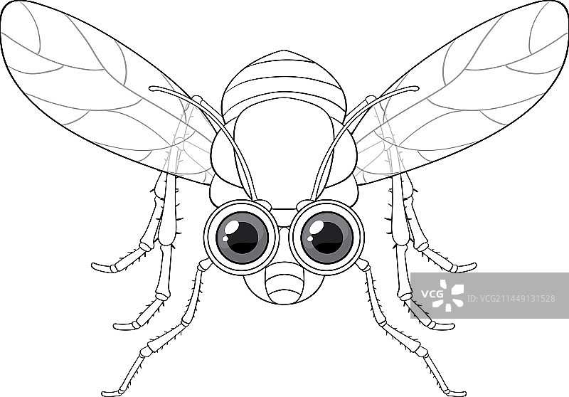 快乐的卡通苍蝇涂鸦角色图片素材