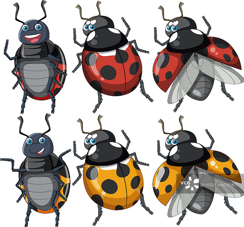 卡通瓢虫角色套装图片素材