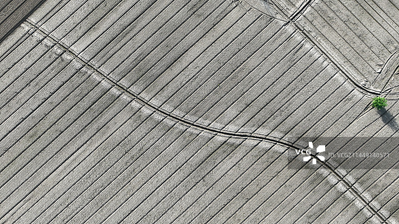 航拍农田线条图片素材