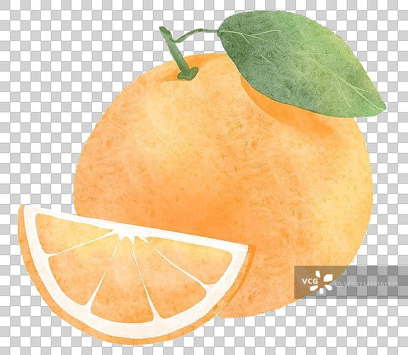 切开的橙子水彩插画元素图片素材