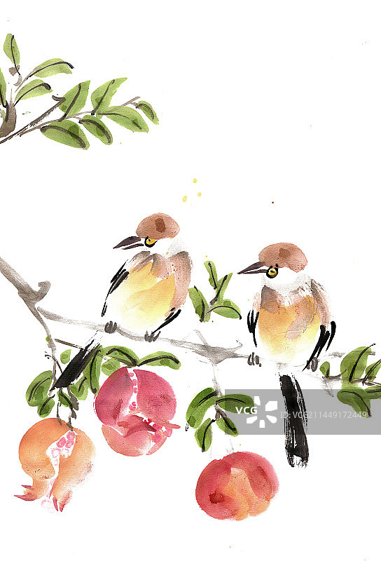 石榴树枝上的小鸟图片素材