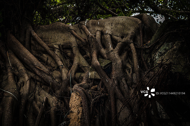 中国广东省揭阳市榕城区揭阳古城图片素材