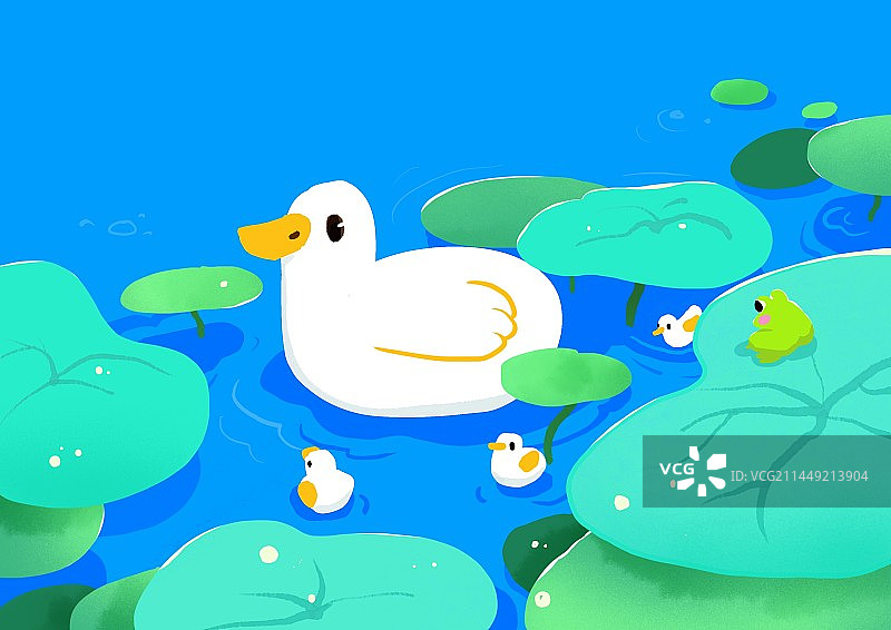 池塘里的鸭子一家小鸭子图片素材