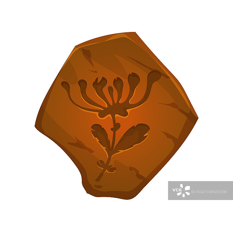 石头上的卡通古代植物化石印记图片素材
