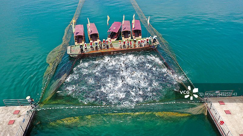 俯瞰湖中捕鱼，航拍千岛湖钓鱼岛图片素材