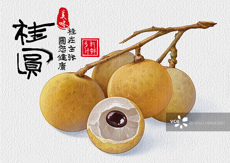 桂圆海报图片素材