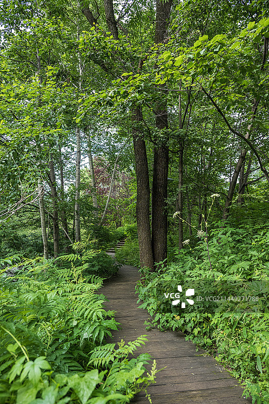 长白山二道白河图片素材