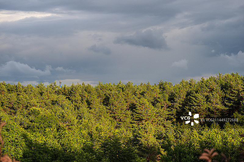 长白山原始森林公园图片素材