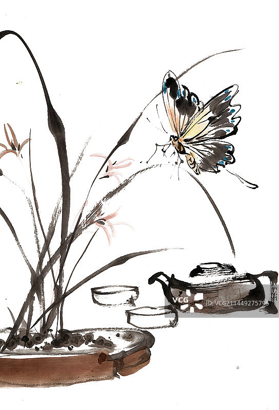 兰花与蝴蝶图片素材