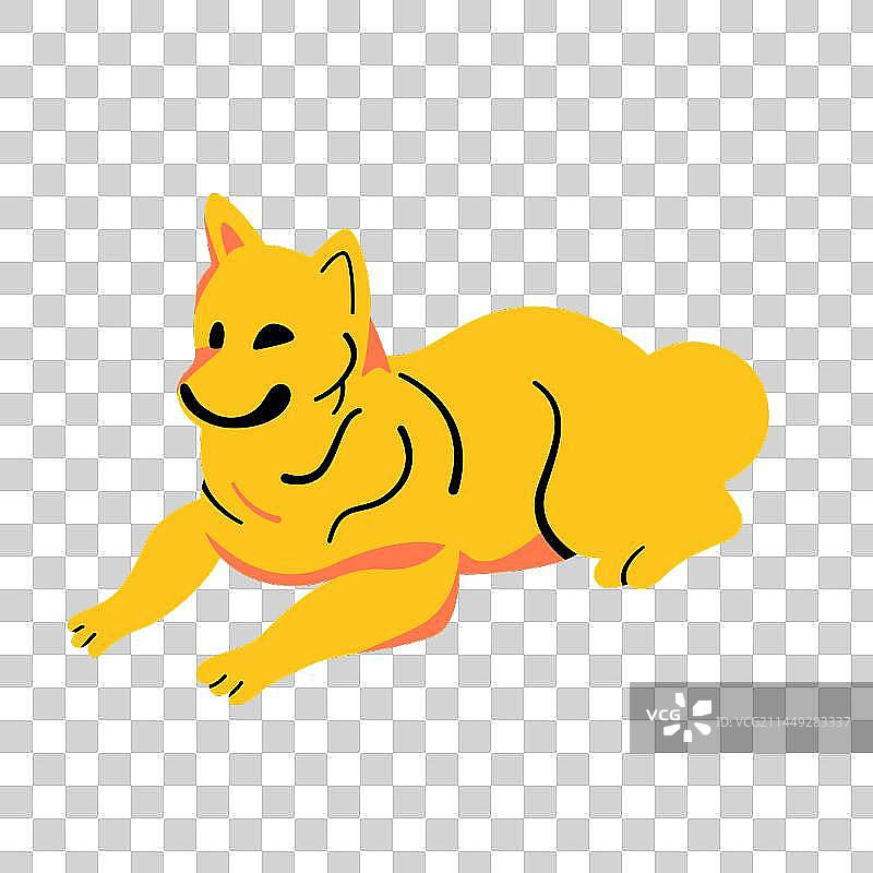 趴着的黄色柴犬图片素材