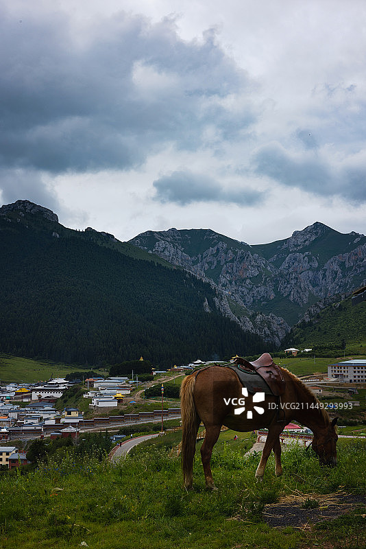 自然与和谐图片素材