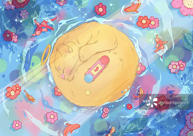 水中猫图片素材