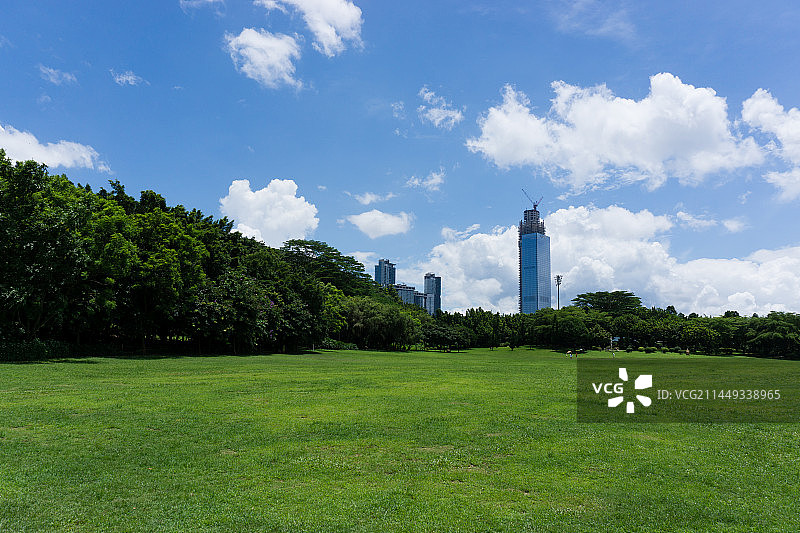 深圳城市绿地图片素材