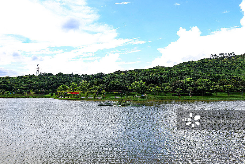 深圳罗田森林公园图片素材