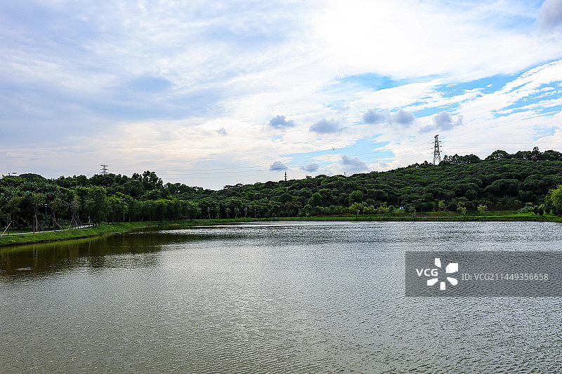 深圳罗田森林公园图片素材