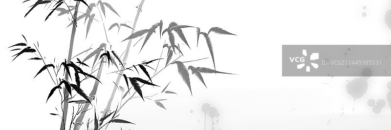 雾色中的竹林图片素材