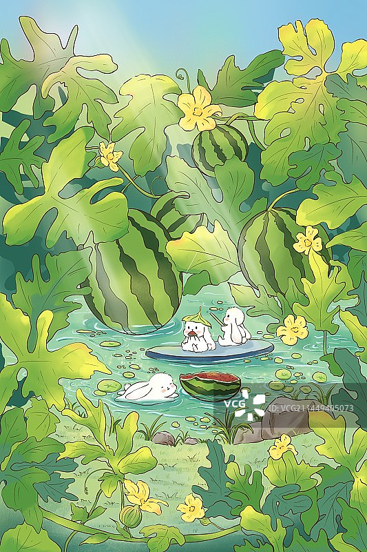 夏天的西瓜地，没有西瓜的夏天不完整图片素材