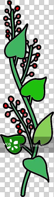 植物 何首乌图片素材