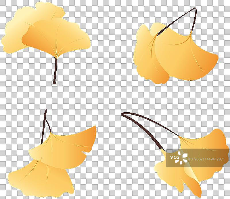 银杏叶元素图片素材