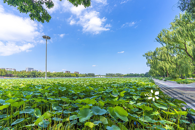 玉渊潭图片素材