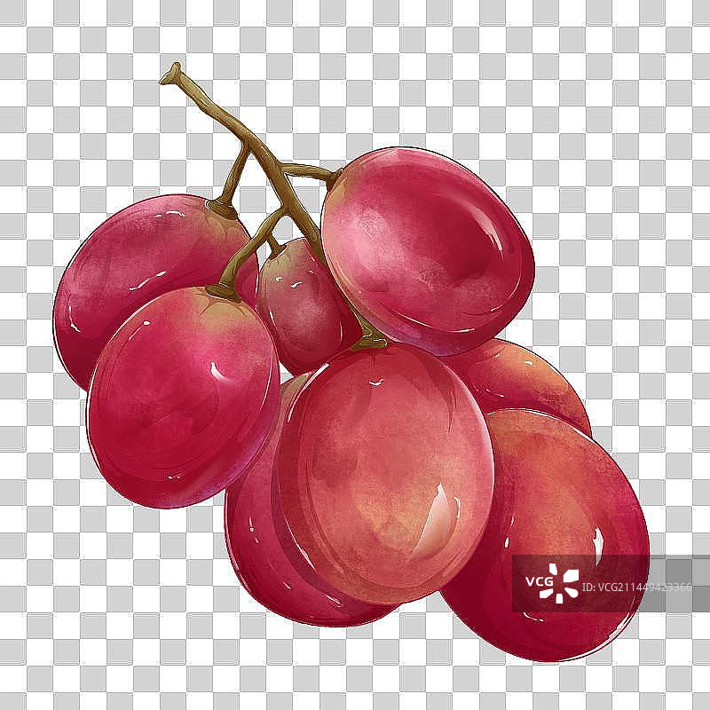 一串红提葡萄图片素材