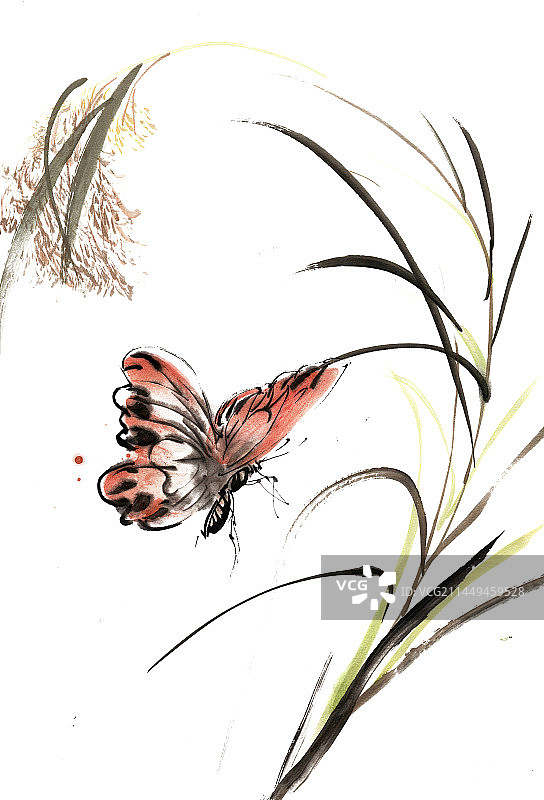 谷子与蝴蝶图片素材