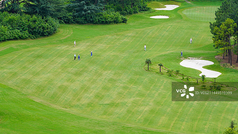 高尔夫球场局部特写图片素材