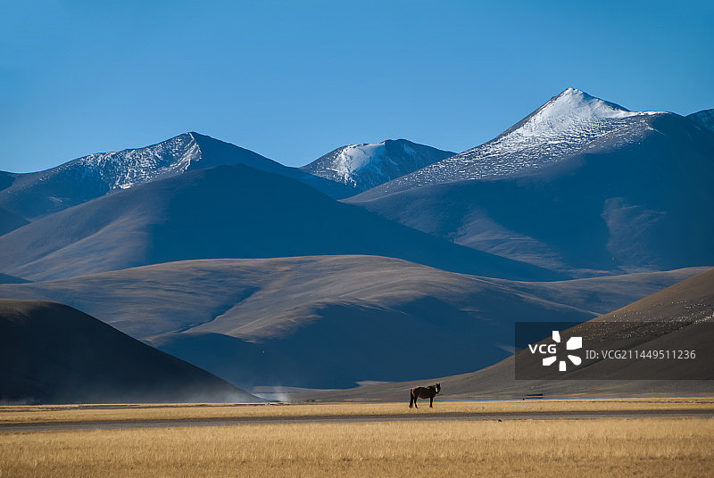 西藏阿里地区措勤县图片素材