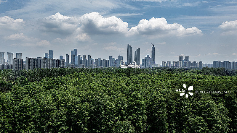 南京江心洲风光图片素材