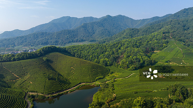 航拍杭州龙坞茶园 茶山 茶田图片素材