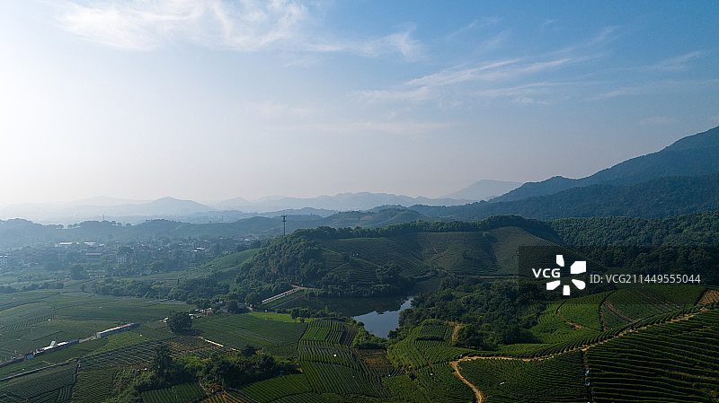 杭州龙坞茶园图片素材