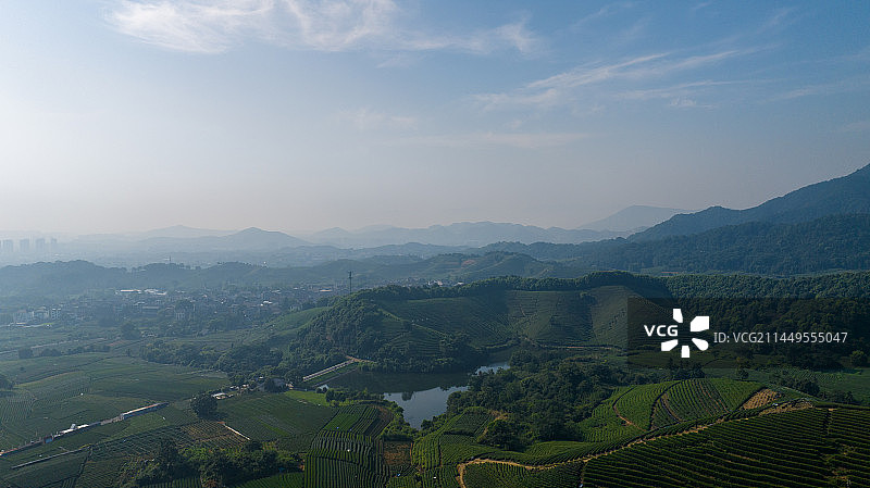 杭州龙坞茶园图片素材