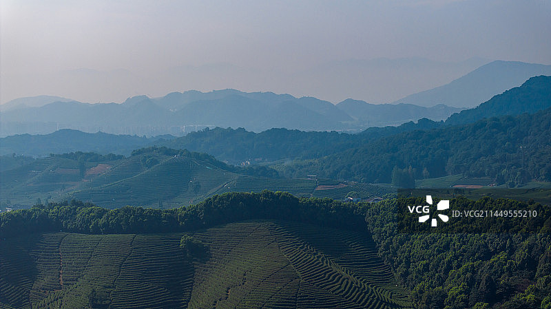 航拍杭州龙坞茶园 茶山 茶田图片素材