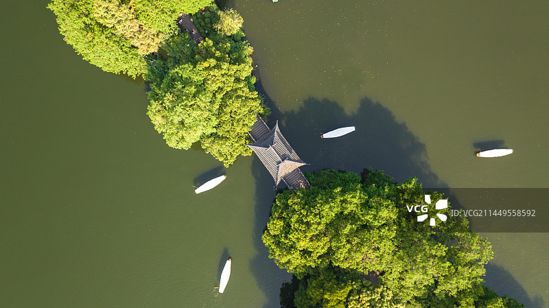 杭州西湖曲院风荷玉带晴虹 玉带桥图片素材