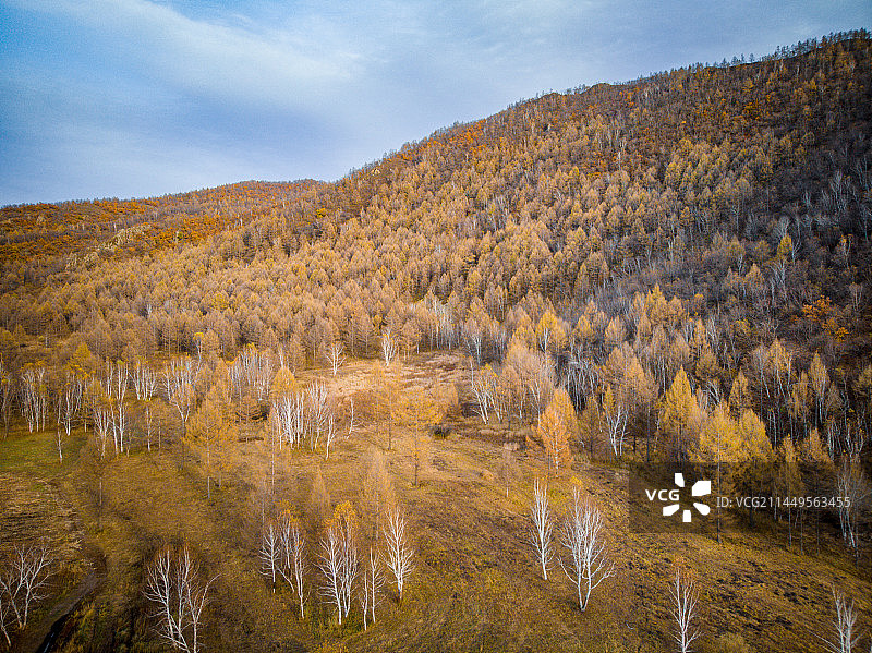 中国内蒙古阿尔山的秋天的航拍风光图片素材