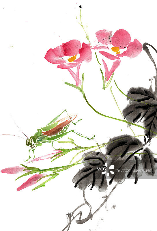 蝈蝈与喇叭花图片素材