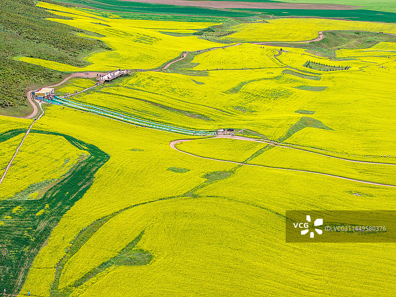 航拍青海民乐县扁都口油菜花风景图片素材