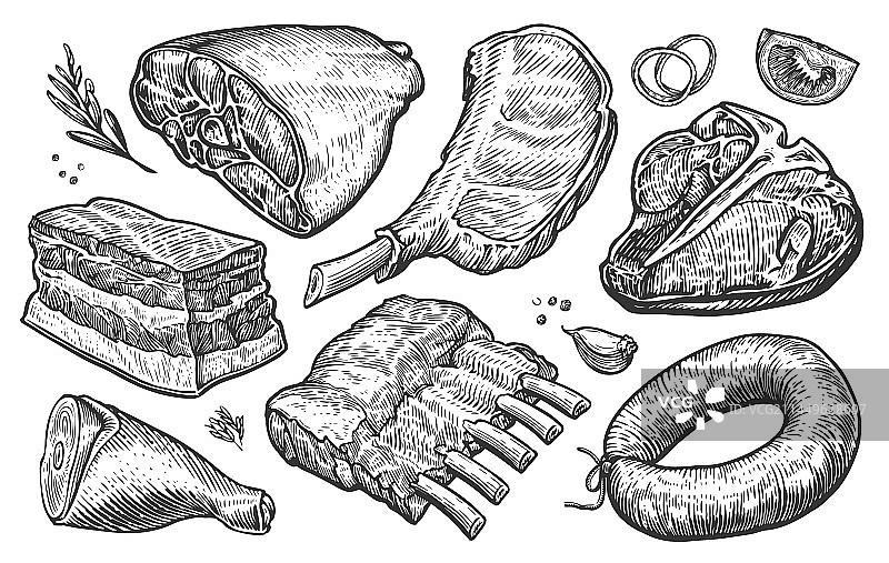 新鲜生肉制品素描雕刻风格图片素材