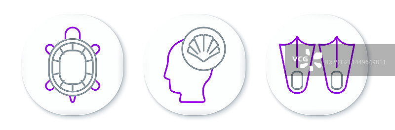 橡胶脚蹼、海龟和扇贝图片素材