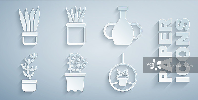 仙人掌、乌羽玉盆栽、花瓶和热带植物素材图片素材