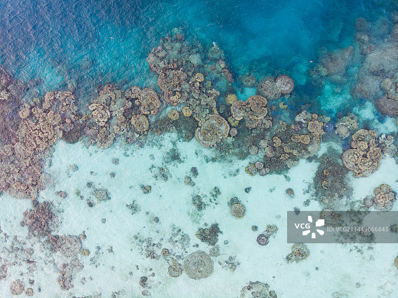 珊瑚礁和海底断崖图片素材