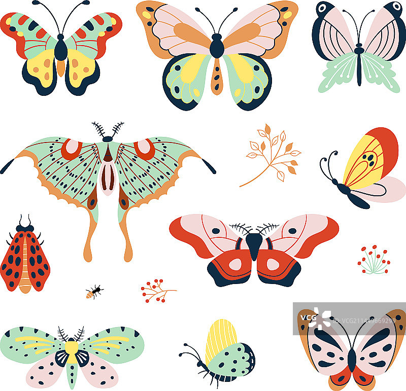 扁平风格装饰蝴蝶图片素材