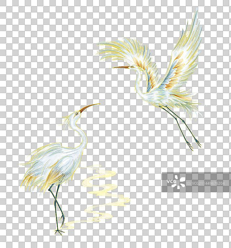 白鹭水鸟保护动物图片素材