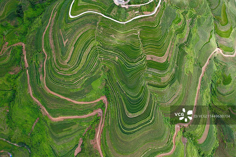 诗画梯田，多彩那耶图片素材