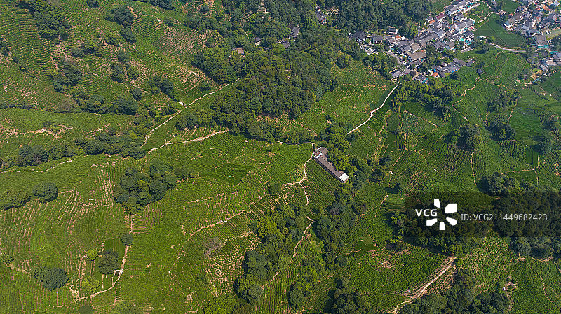 航拍杭州西湖龙井茶园 十里琅珰图片素材