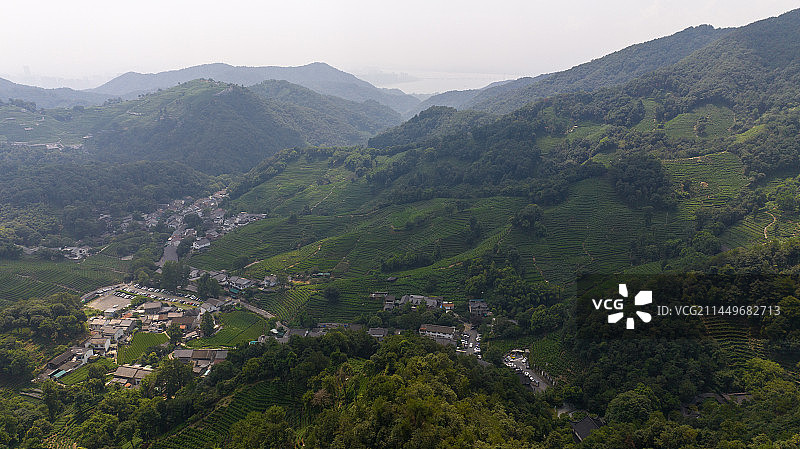 航拍杭州西湖龙井茶园图片素材