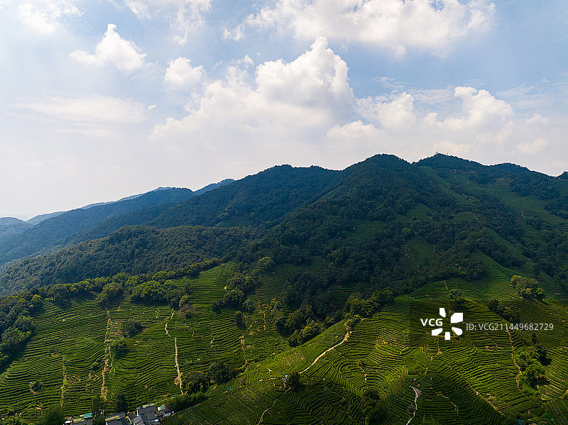 航拍杭州西湖龙井茶园图片素材