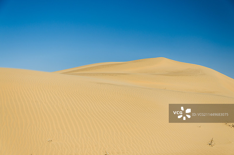 夏天的沙漠图片素材