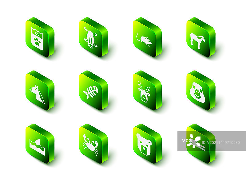 野猪头、老鼠、马、鹅、鸟图片素材