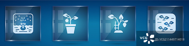 自动灌溉喷水器盆栽图片素材